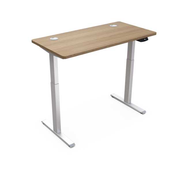 Escritorio Ergonómico
