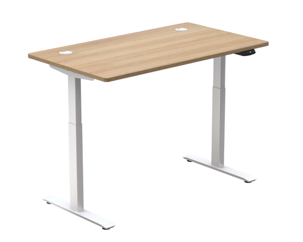 Standing Desk / Dual Motor Pro
