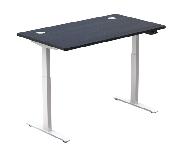 Standing Desk / Dual Motor Pro