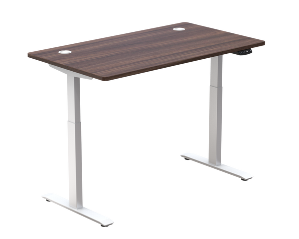Standing Desk / Dual Motor Pro