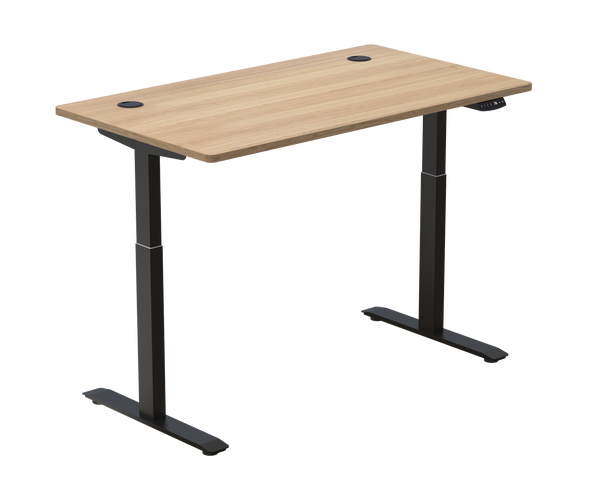 Standing Desk / Dual Motor Pro