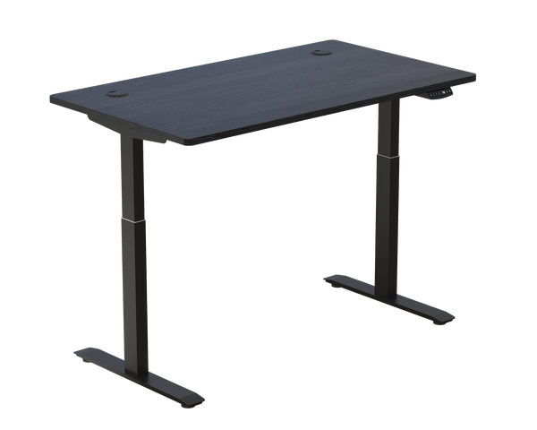 Standing Desk / Dual Motor Pro