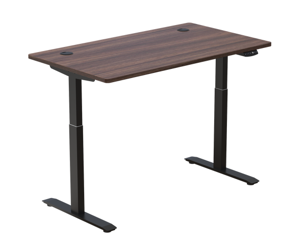 Standing Desk Lite