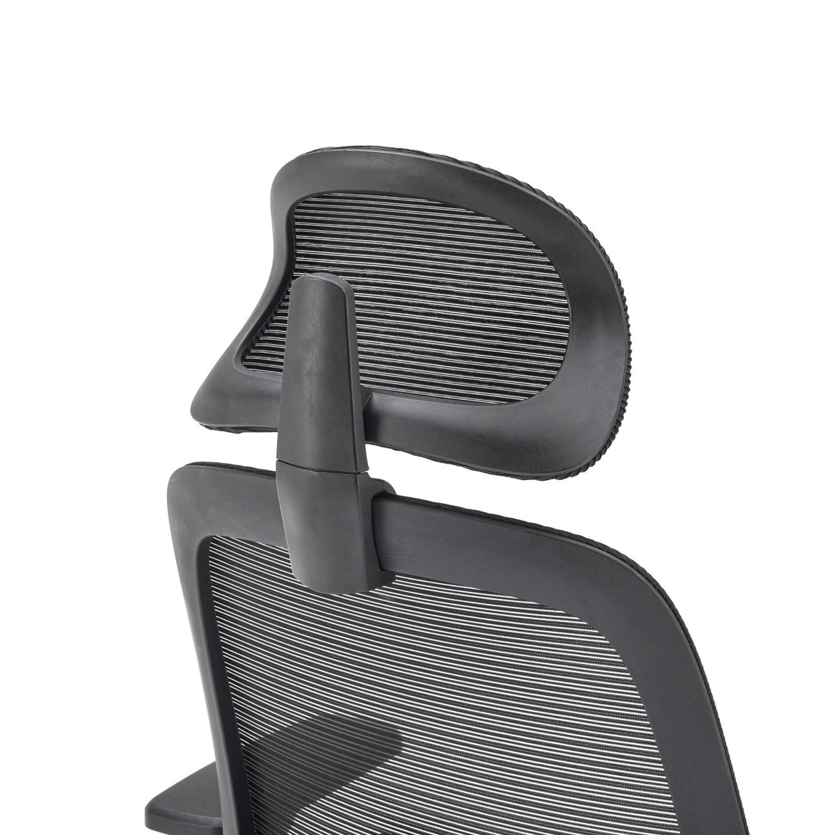 Silla Nova