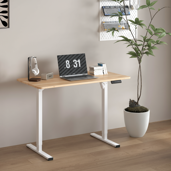 Pack Estudiante: Standing Desk + Silla Ergonómica