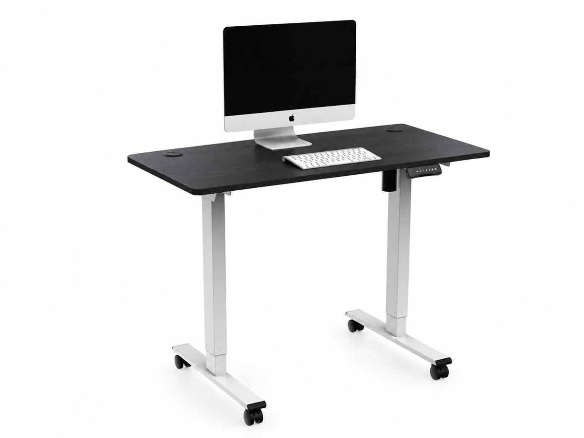 Base Standing Desk Con Ruedas e Inclinable + Cubierta