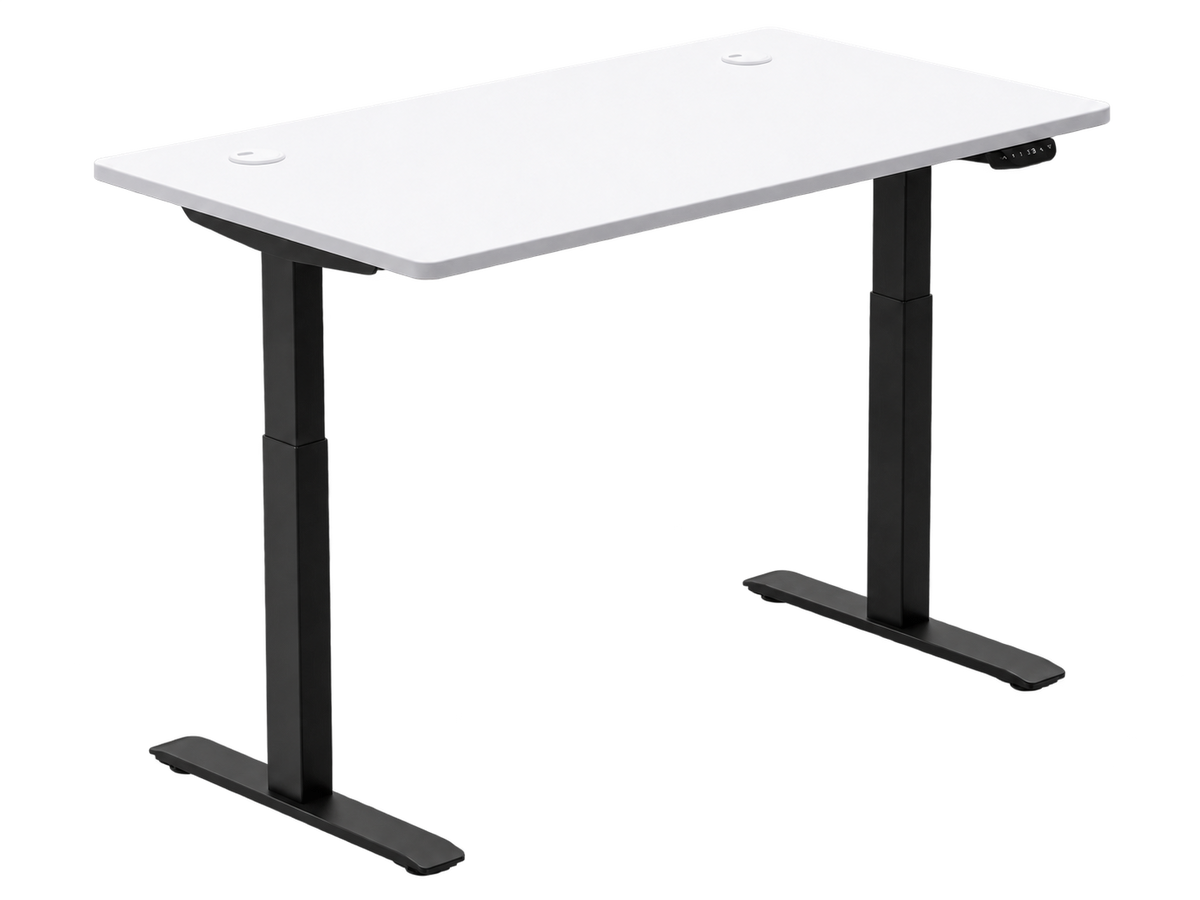 Standing Desk / Dual Motor Pro