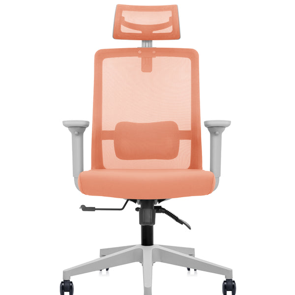 Silla Foundation Peach