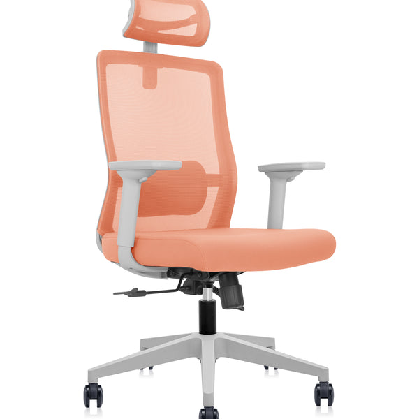 Silla Foundation Peach
