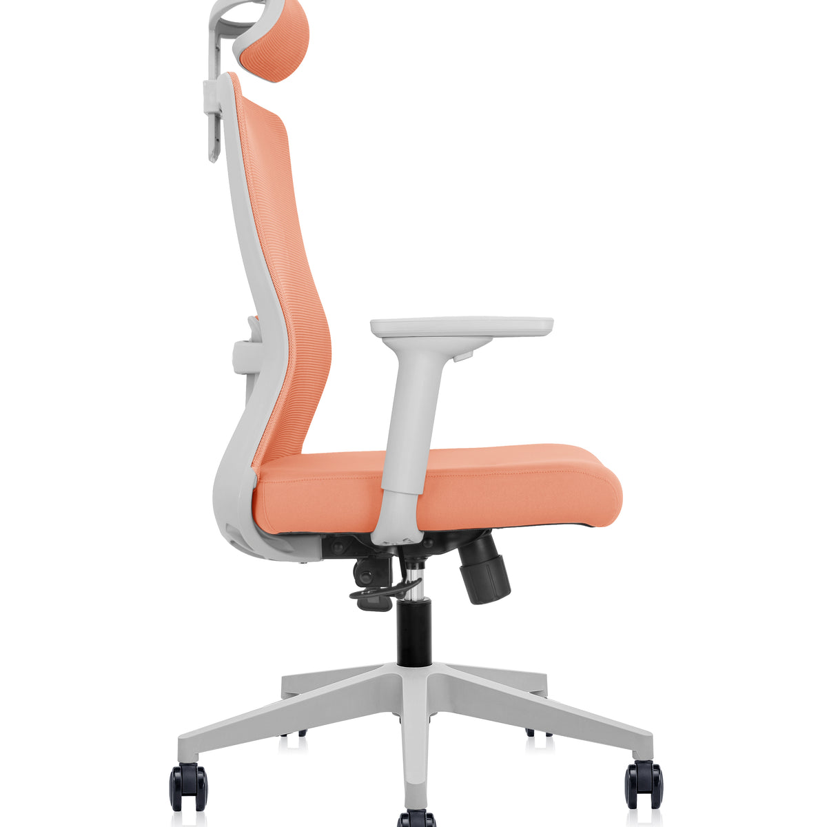 Silla Foundation Peach