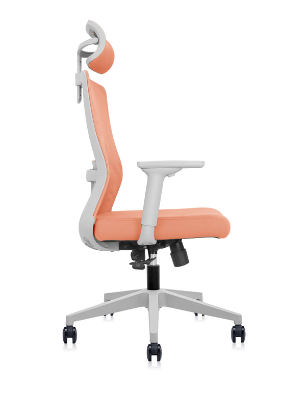 Silla Foundation Peach