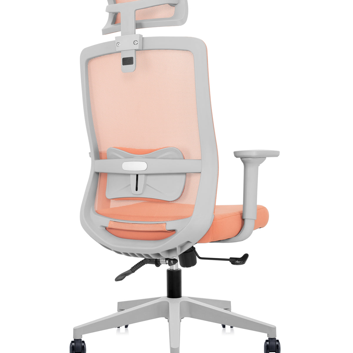 Silla Foundation Peach