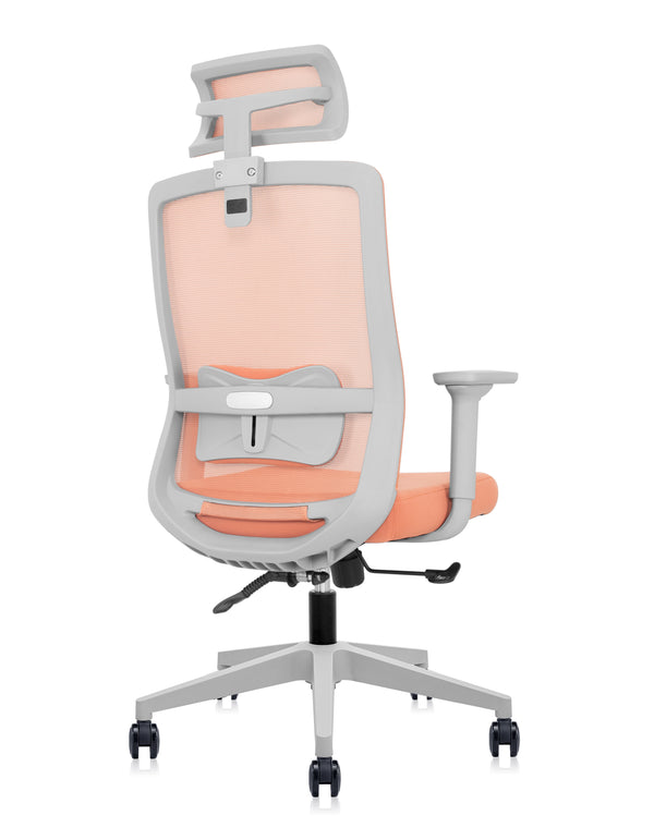Silla Foundation Peach