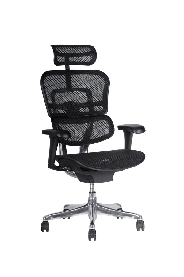 Silla Ergohuman Fit