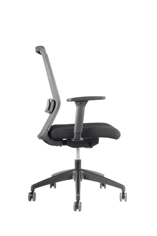 Silla Ranco
