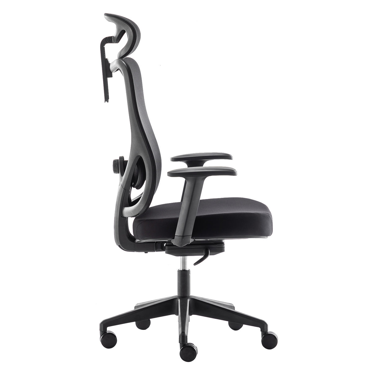 Silla Axis