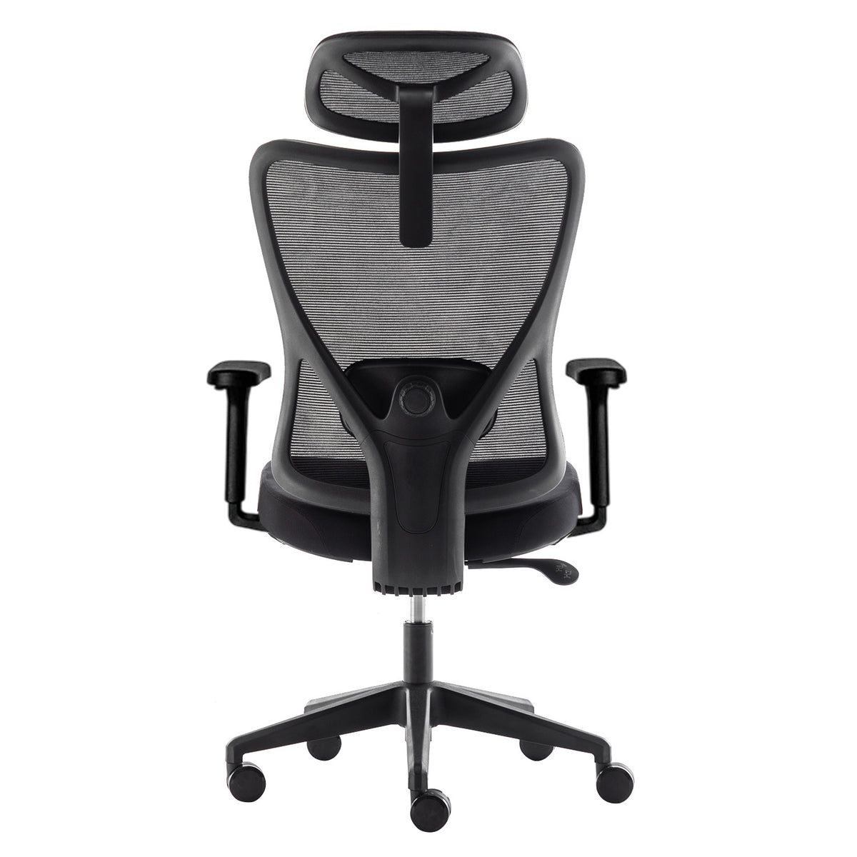 Silla Axis